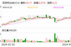 东鹏饮料两大首发募投项目宣布延期
