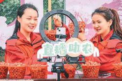 手机成了“新农具”