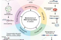 新技术首次实现以RNA为媒介的基因精准写入