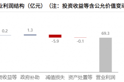 森麒麟披露2024年半年度业绩预告 盈利能力持续增强