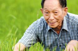 镉砷超低积累两系杂交水稻创制成功