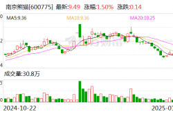 南京熊猫业绩预告与实际业绩差异较大 董事长夏德传收警示函