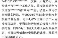 松发股份2024年预亏6225万元至8700万元 并购重组已被受理