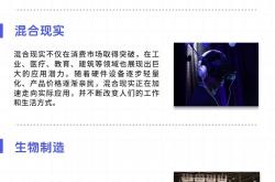 2024年度十大科技名词揭晓