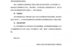 云天励飞2024年亏损幅度持续扩大