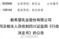 2023年商誉减值测试存在问题 远大控股及相关责任人收警示函