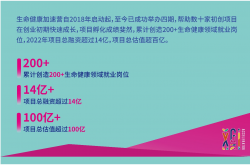 华大智造回应“股价异动”：无应披露而未披露重大信息