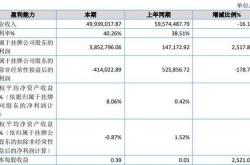 洛凯股份未及时披露关联交易 董事长谈行收警示函