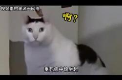 百度惊坐起 接连发四枪