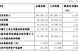 盛弘股份2024年营收同比增长14.56%，ROE有所下滑