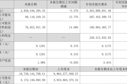 保证独立性承诺履行不到位 宝武镁业控股股东被责令改正