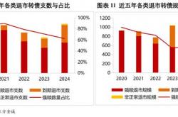 北交所2025年首单定向可转债项目披露