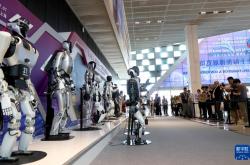 上海浦东加快构建人形机器人产业发展生态