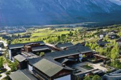 中国金茂原主席张增根因达到退休年龄辞任，陶天海接任