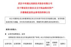 年内重大重组大增158.33%，市场化交易有待提升丨2025并购“春醒”③