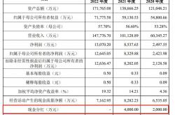 瑞立科密IPO：2021年是否分红“成谜” 大股东亏损且实控人旗下有多家房企