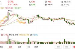 梅花生物2024年营收净利双降 实控人孟庆山涉嫌操纵证券市场罪被提起公诉