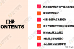 出海建厂热潮：不确定性下，企业如何在海外扎根？