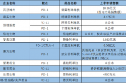 PD-1组合赴美上市二度延期 恒瑞“出海”缘何再次受阻？