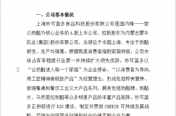 妙可蓝多2024年第四季度扣非净利润亏超1500万