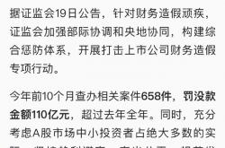 融信中国：预计去年净亏损110亿至130亿元 正在对境内债务进行重组