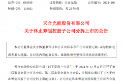 中集集团2024年净利润同比增605.6%，终止分拆中集天达上市