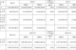 蓝思科技2024年收入700亿元，毛利率创上市以来新低