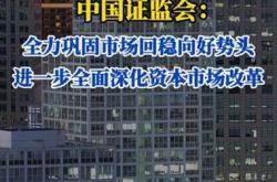 证监会：进一步提升境外上市备案管理质效