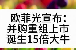 欧菲光筹划重大重组 南昌国资抄底或迎来回报高光时刻