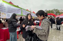 百万英才汇南粤｜2万+岗位“职”等你来！杭向大湾区，再掀就业新浪潮
