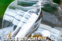 2025年以来南向资金净买入超6000亿港元 抢筹科技、消费与金融板块