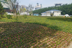 老场馆的十五运新生命：“拆围透绿”变身城市“绿色客厅”，AR导航不再“找不着北”