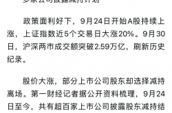 股东计划减持，软通动力却要定增融资33.78亿元