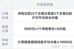 打新赚钱效应显著提升 港股新股有望持续受资金关注