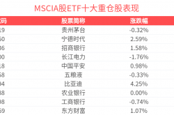 MSCI中国指数季度调整 新纳入5只A股