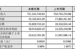 证监会通报2024年执法情况 739件证券期货违法案被查办