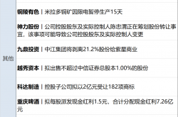 华是科技实控人叶建标留置期被延长三个月 一季度净利润同比下降超65%