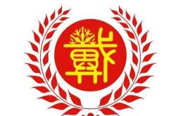 “戴氏兄妹”的芯片归途：从“盖房子”到逐浪AI