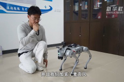 机器人助力幸福生活｜电子导盲犬让视障人士“看见”生活点滴