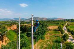 浙江绍兴：“机器狗”上岗助力迎峰度夏