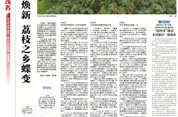 低空经济助“荔”朝摘夕至：广东首次实现跨水域无人机运输荔枝