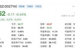又一A股龙头启动招股 港股IPO好戏连台