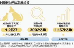 酒店品牌也来分羹 “毛孩子”的618不止口粮