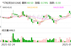 *ST松发多位高管辞职