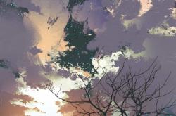 水井坊胡庭洲：外面下雨 更要看好自己的路