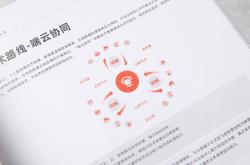 云天励飞两大股东计划减持