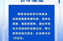 加强全链条管理 全面提升上市公司金融投资价值