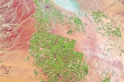 AI“虚拟卫星”追踪全球地表变化