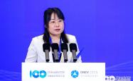 产线拉满、毛利倍增，空降总裁为瑞浦兰钧“逆天改命”？