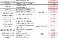 国际投资者为何竞相参与港股IPO和配售